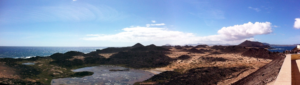 FuerteCharter Excursiones Fuerteventura | Humedales 