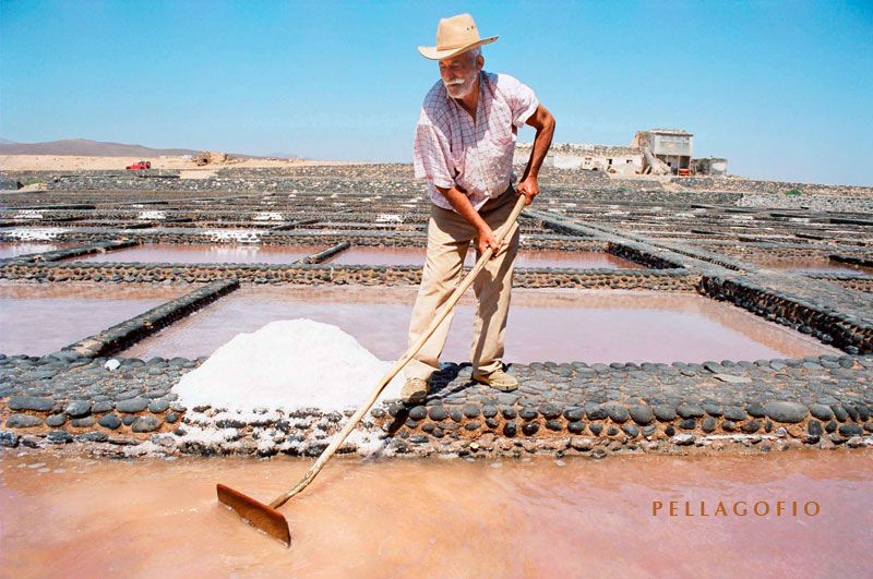 Excursiones FuerteCharter | Sal de espuma de Fuerteventura